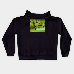 Old tree illustration Kids Hoodie